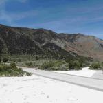 DSC03816_01 (June 14, 2020)